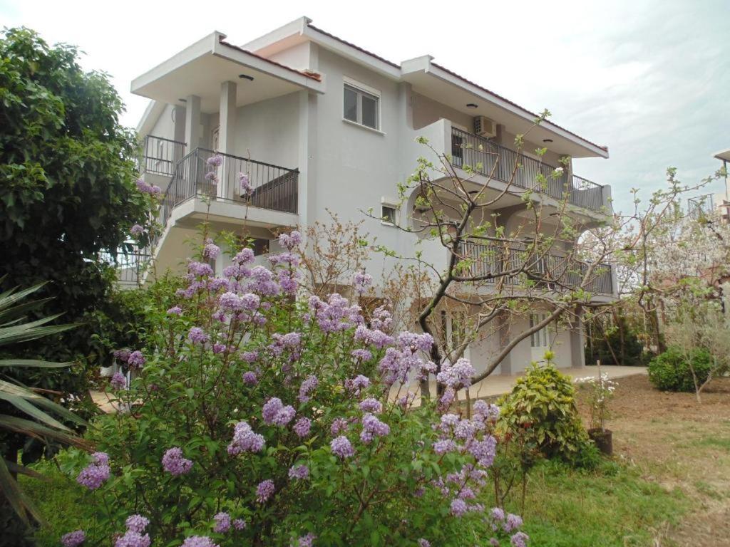 Apartments Macaso Bar Bagian luar foto