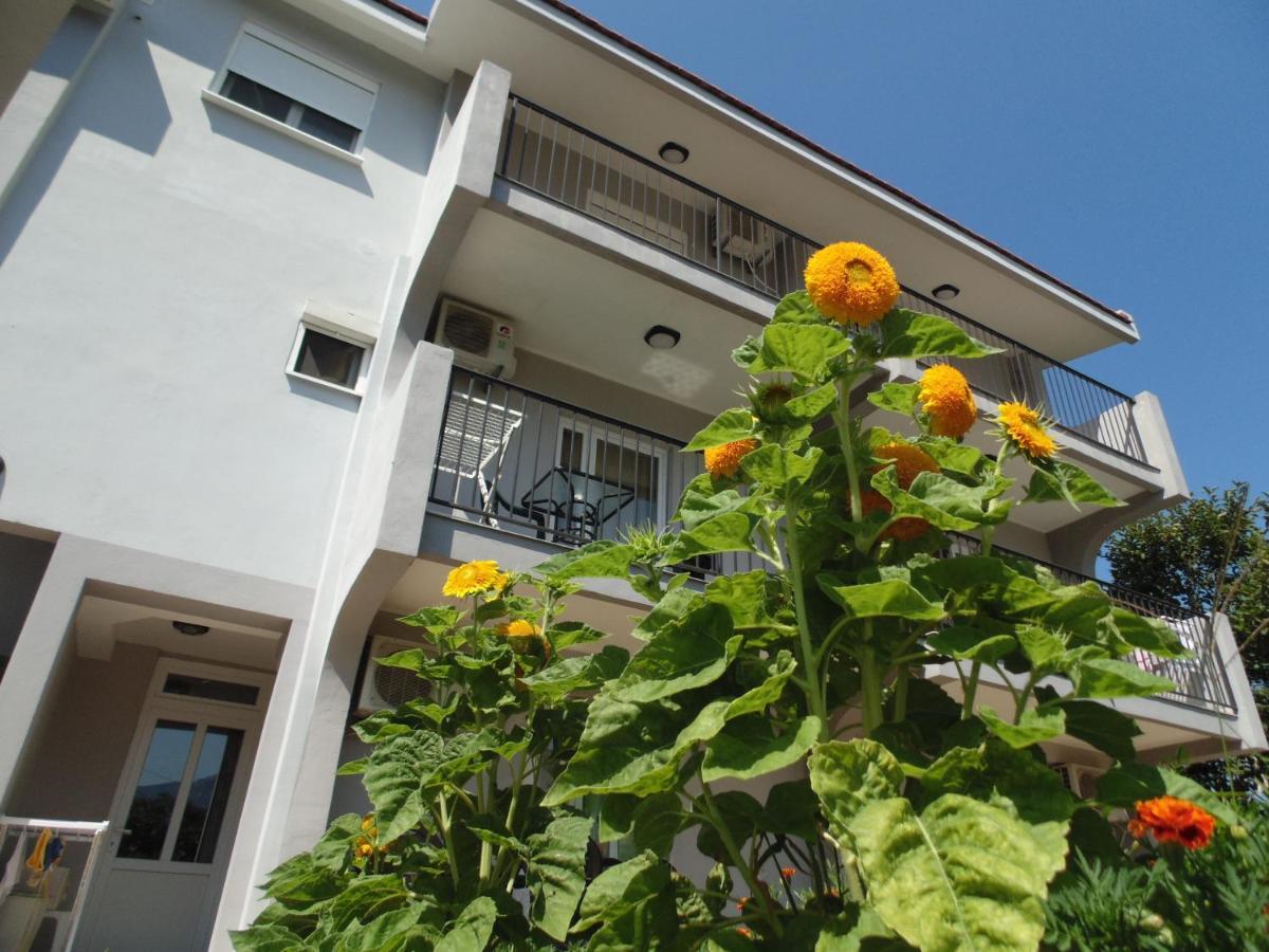 Apartments Macaso Bar Bagian luar foto